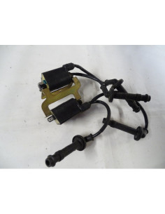 Bobine d'allumage HONDA HORNET 600 - 2007-2013 2