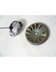 Variateur SUZUKI ADDRESS 110 - 2017