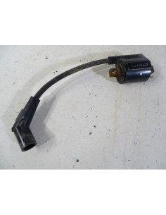 Bobine d'allumage YAMAHA DELIGHT 125 - 2012