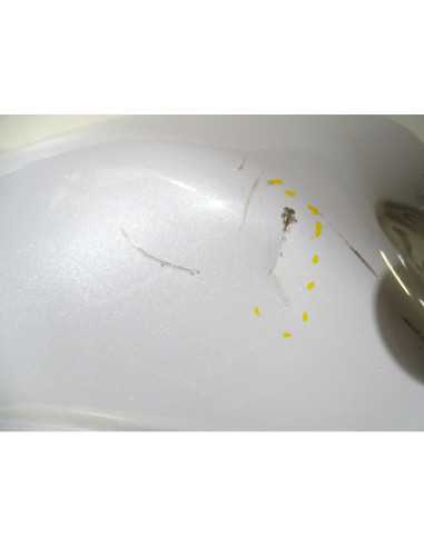 Réservoir KAWASAKI ER6 650 - 2012-2016