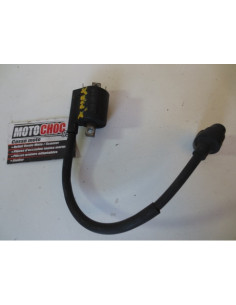 Bobine d'allumage YAMAHA X-MAX 125 - 2006-2014 - 1C0-00