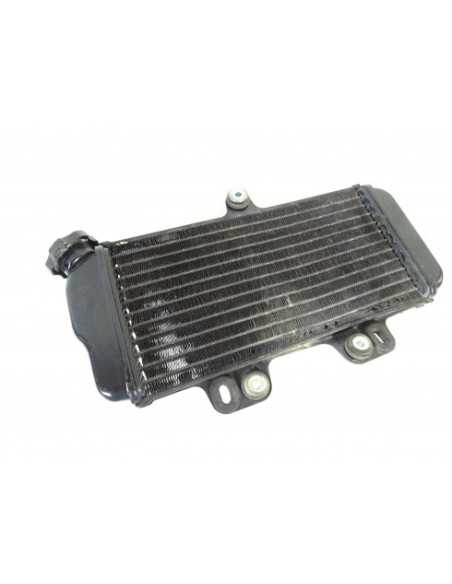 Radiateur d'eau YAMAHA TDR 125 - 1993-2003