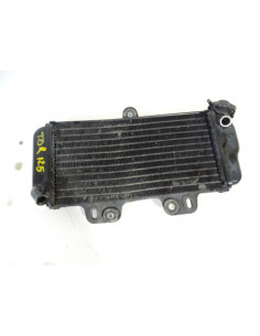 Radiateur d'eau YAMAHA TDR 125 - 1993-2003 2