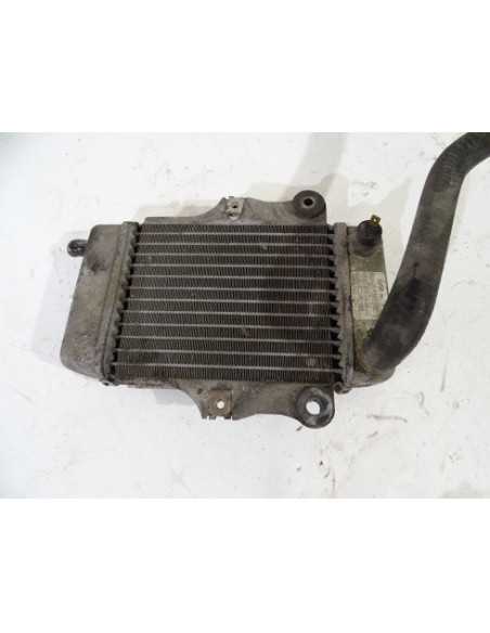 Radiateur d'eau HONDA DYLAN 125 - 2002-2006 - Occasion