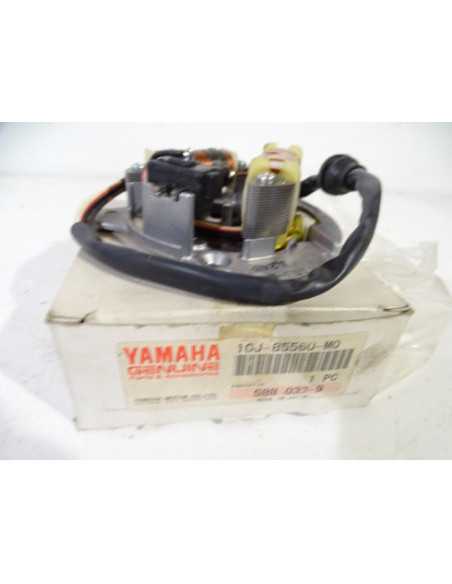 Stator YAMAHA BELUGA 50 - 1989-1990 - 1GJ-85560-M0