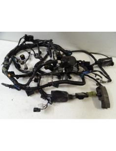 Faisceau électrique KAWASAKI Z800 800 L3EKWAM2000J158 - 2013-2016 - 26031-1533 2