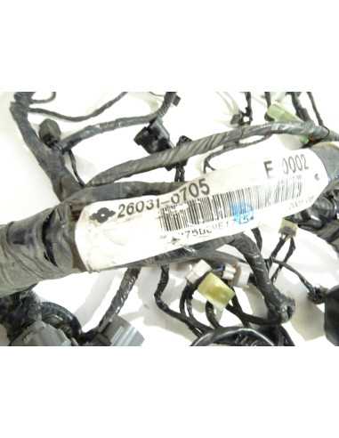 Faisceau électrique KAWASAKI ER6 F - 2009/2011 - 26031-0705