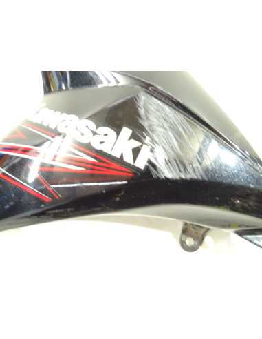 Écope gauche KAWASAKI Z800 - 2013/2016 - 49125-0584