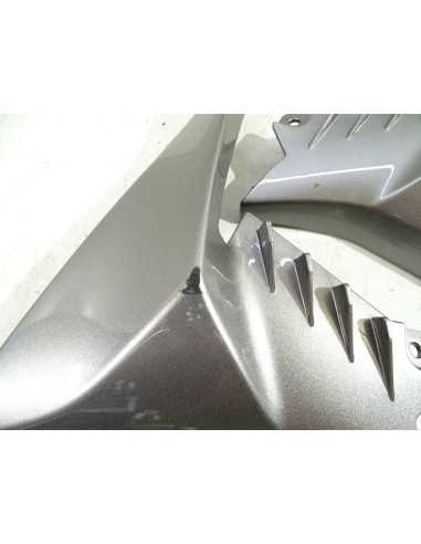 Écopes (paire) KAWASAKI Z900 - 2020/2022 -