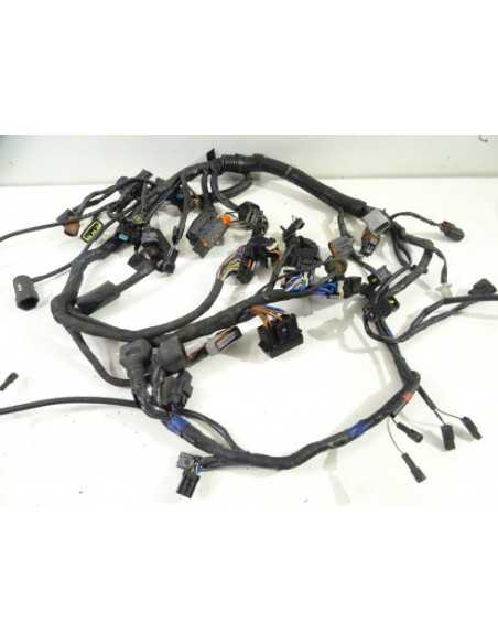 Faisceau électrique TRIUMPH TIGER 1050 - 2014