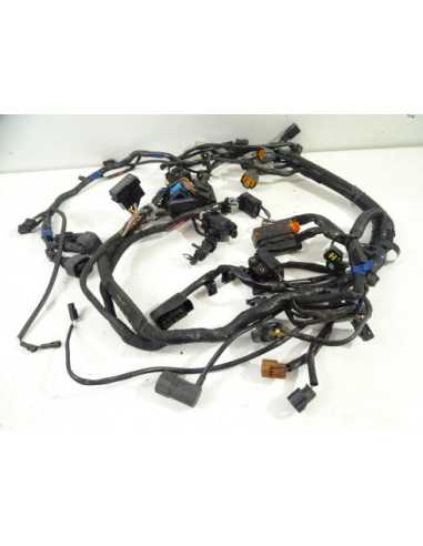 Faisceau électrique TRIUMPH TIGER 1050 - 2014