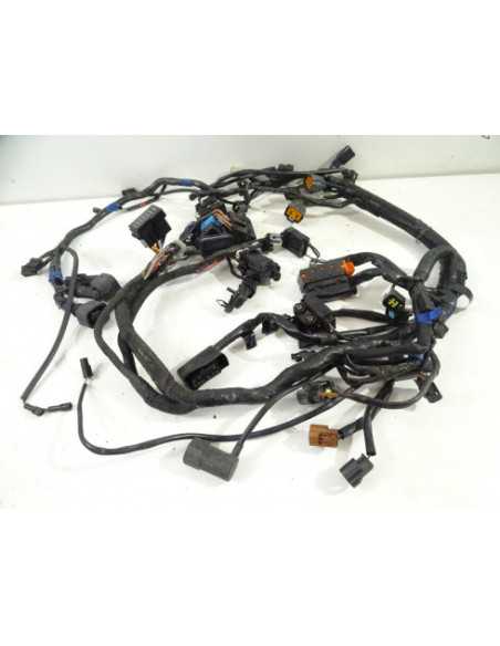 Faisceau électrique TRIUMPH TIGER 1050 - 2014