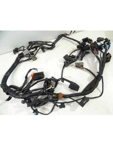 Faisceau électrique TRIUMPH TIGER 1050 - 2014