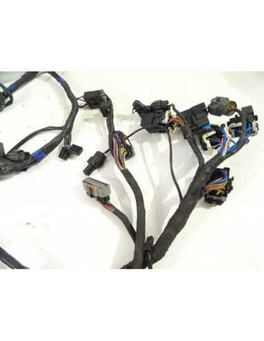 Faisceau électrique TRIUMPH TIGER 1050 - 2014