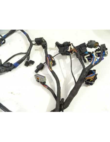 Faisceau électrique TRIUMPH TIGER 1050 - 2014