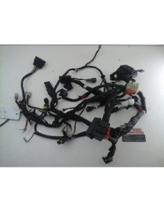 Faisceau électrique DUCATI MONSTER 695 - 2011 - 510.1.698.1B/7