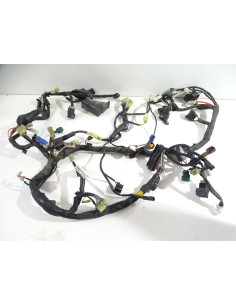 Faisceau électrique YAMAHA TDM 900 - 2007/2010 - 2B0-82590-10 Occasion