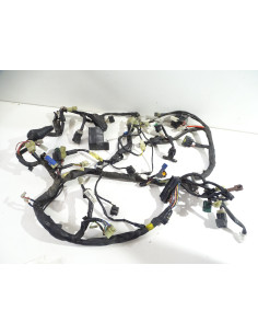 Faisceau électrique YAMAHA TDM 900 - 2007/2010 - 2B0-82590-10 Occasion 2
