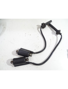 Bobine d'allumage (paire) YAMAHA TDM 900 - 2010 - Occasion