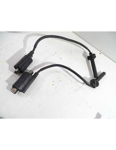 Bobine d'allumage (paire) YAMAHA TDM 900 - 2010 -