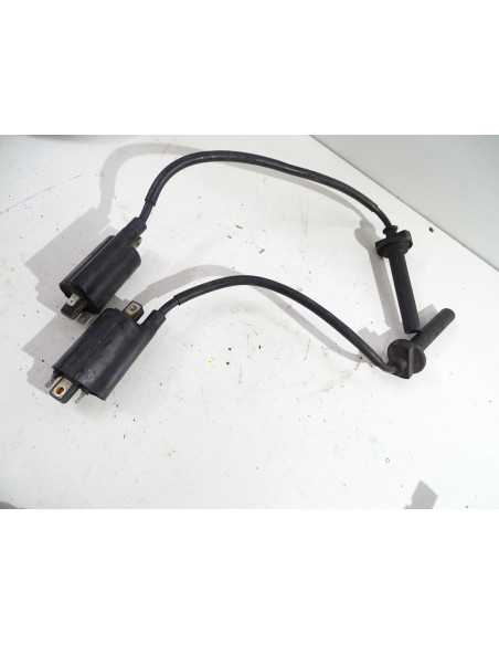 Bobine d'allumage (paire) YAMAHA TDM 900 - 2010 -