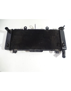 Radiateur d'eau KAWASAKI Z650 - 2021 - 39061-0927 Occasion