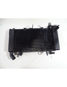 Radiateur d'eau HONDA CBX 500 - 2019 - Occasion
