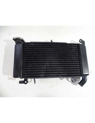 Radiateur d'eau HONDA CBX 500 - 2019 -