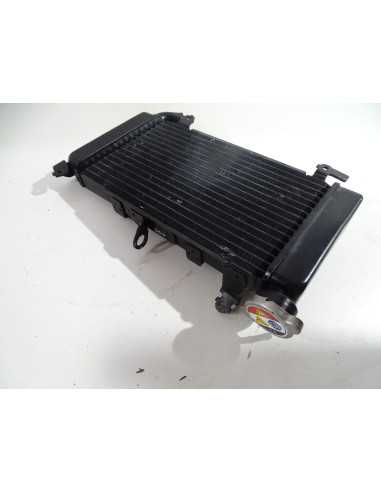 Radiateur d'eau HONDA CBX 500 - 2019 -