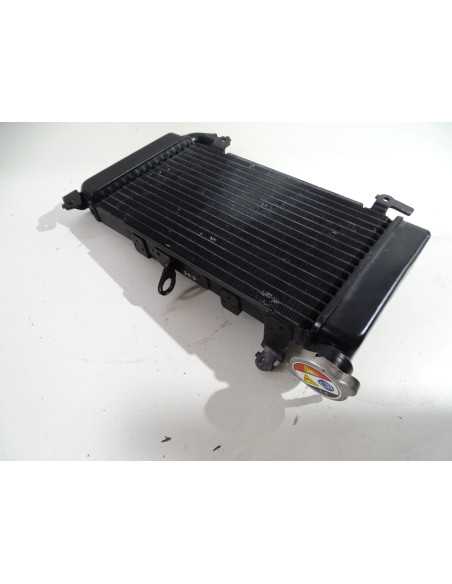 Radiateur d'eau HONDA CBX 500 - 2019 -