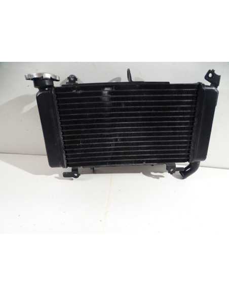 Radiateur d'eau HONDA CBX 500 - 2019 -