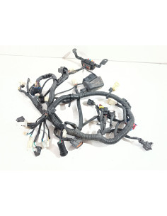 Faisceau électrique SWM GRAN MILANO 440 - 2018 - Occasion