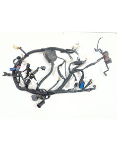 Faisceau électrique SWM GRAN MILANO 440 - 2018 - Occasion 2