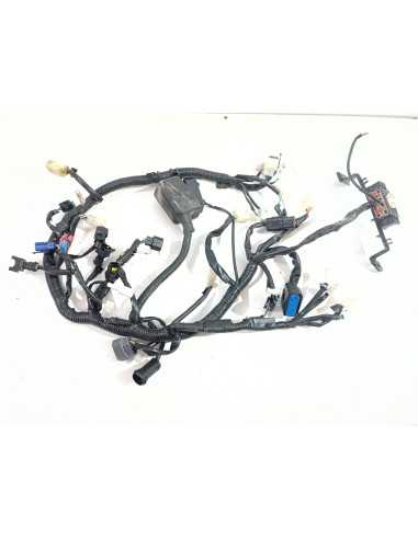 Faisceau électrique SWM GRAN MILANO 440 - 2018