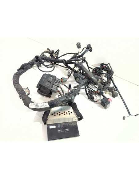 Faisceau électrique KAWASAKI Z750 - 2007/2010 - 26031-0614 Occasion