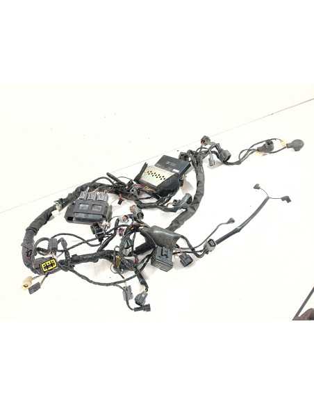 Faisceau électrique KAWASAKI Z750 - 2007/2010 - 26031-0614