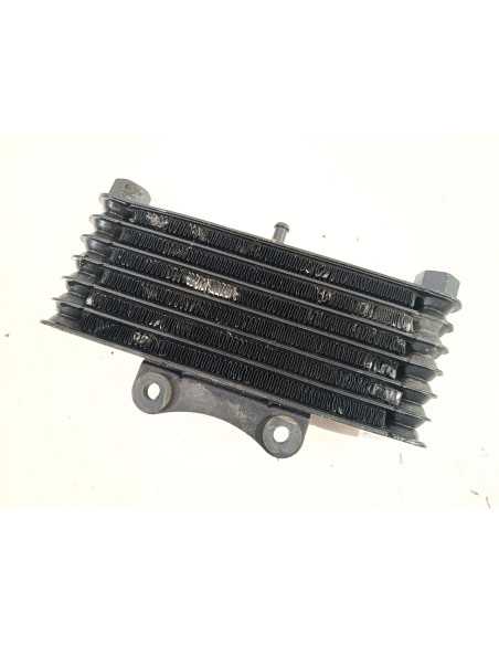 Radiateur d'huile SWM GRAN MILANO 440 - 2018