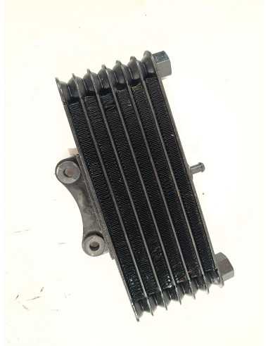 Radiateur d'huile SWM GRAN MILANO 440 - 2018