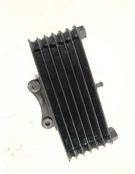 Radiateur d'huile SWM GRAN MILANO 440 - 2018