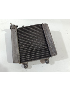 Radiateur d'eau HONDA PANTHEON 125 - 2005/2006 - Occasion