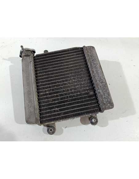 Radiateur d'eau HONDA PANTHEON 125 - 2005/2006 - Occasion