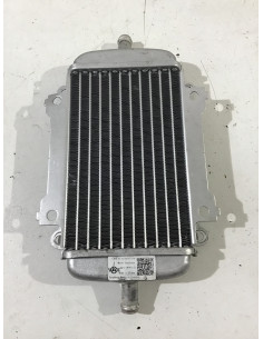 Radiateur d'eau VESPA GTS 300 - 2009/2020 - Occasion