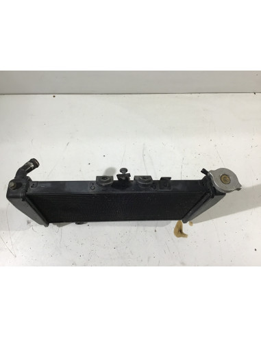 Radiateur d'eau TRIUMPH SPEED TRIPLE 955 955i - 1999/2004