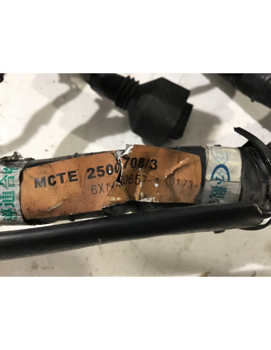 Faisceau électrique TRIUMPH SPEED TRIPLE 955 955i - 1998/2004