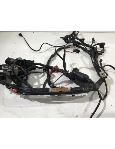 Faisceau électrique TRIUMPH SPEED TRIPLE 955 955i - 1998/2004