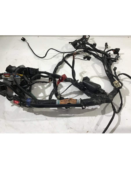 Faisceau électrique TRIUMPH SPEED TRIPLE 955 955i - 1998/2004