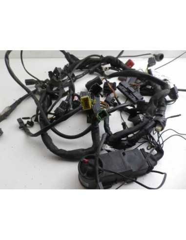 Faisceau électrique SUZUKI SV 1000 - 2005-2007