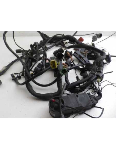 Faisceau électrique SUZUKI SV 1000 - 2005-2007