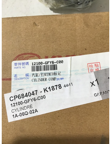 Cylindre nu KYMCO AGILITY 125 - 2020/2024 - 12100-GFY6-C00 Neuf