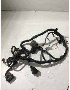 Faisceau électrique HONDA HORNET 600 - 1998/1999 - Occasion